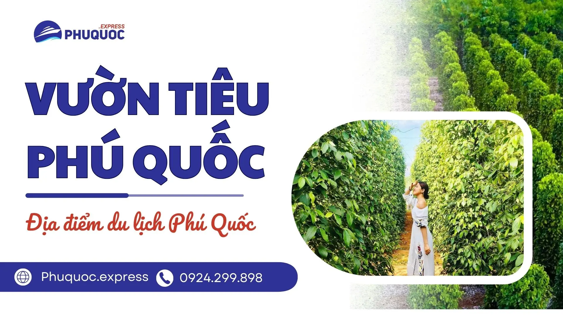 Vườn Tiêu Phú Quốc – Khám Phá Hương Vị Đặc Sản Nổi Tiếng